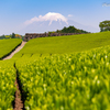 富士茶景