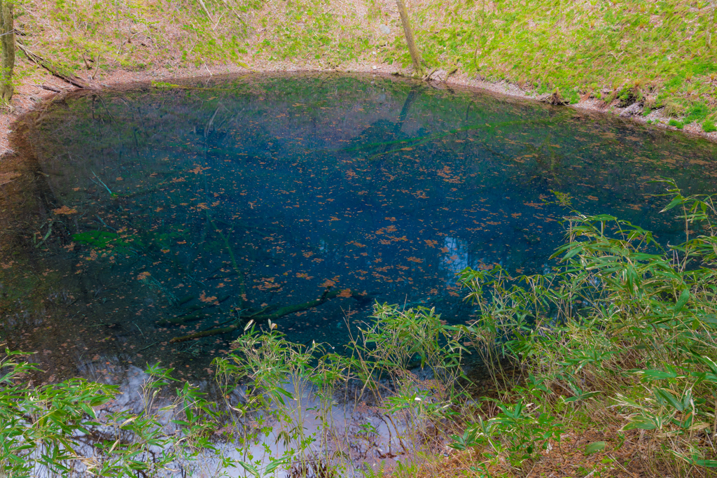 世界遺産の池