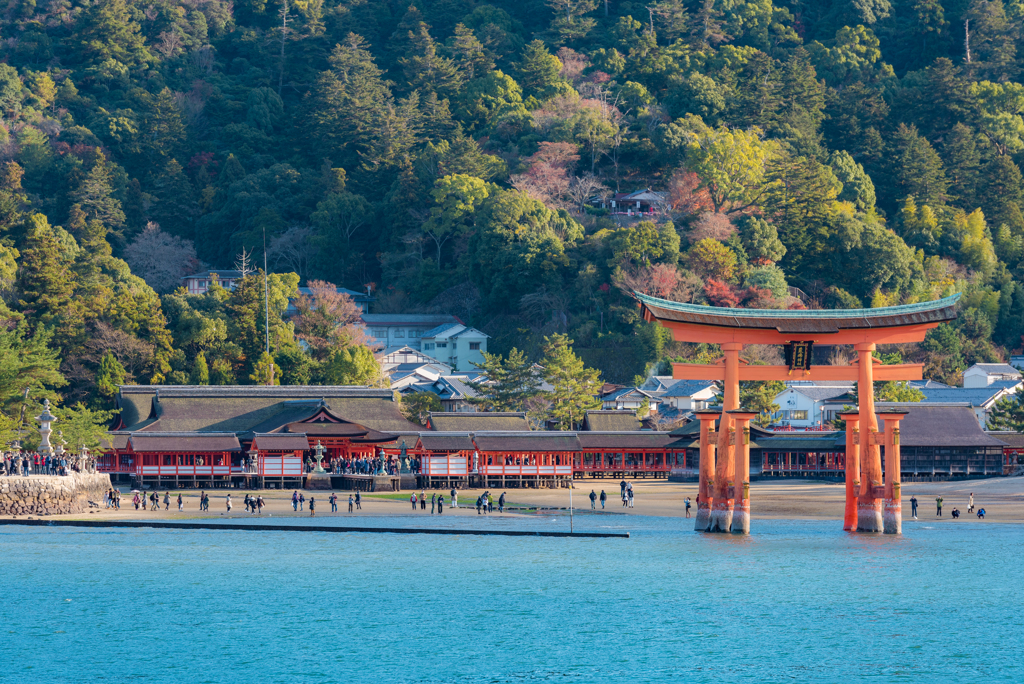 神々の宿る島