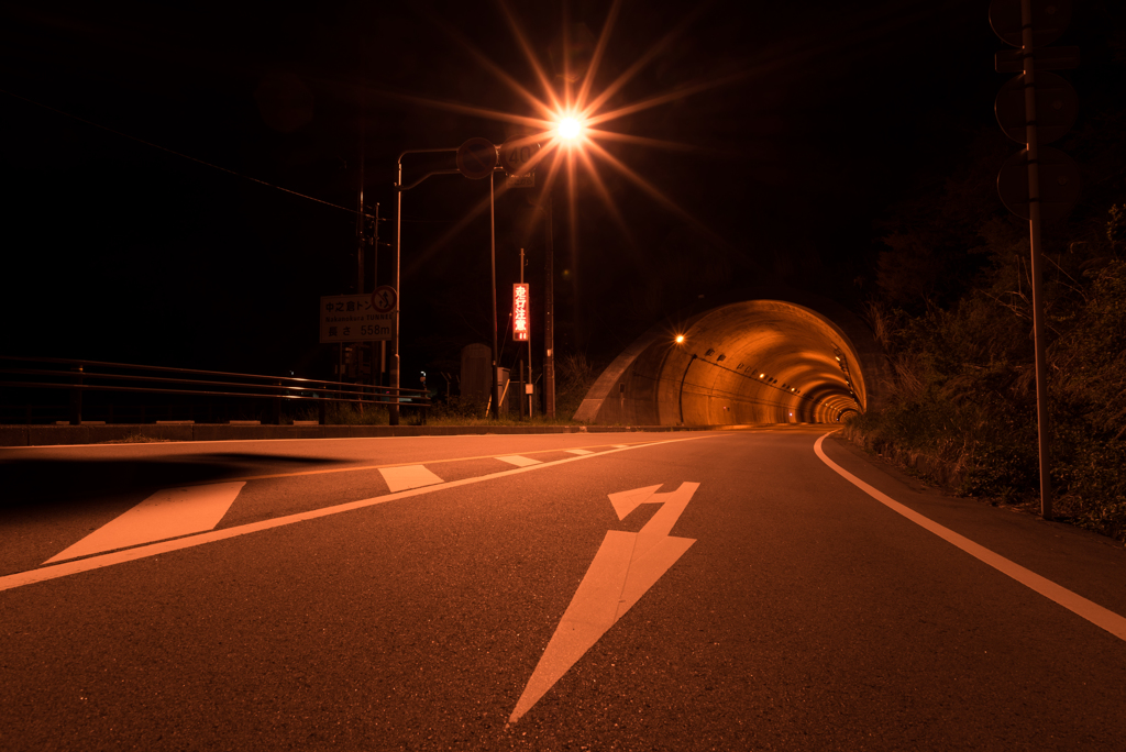 道路上の夜遊び（１）