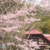 春