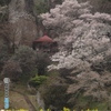 春