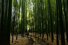 雨の報国寺