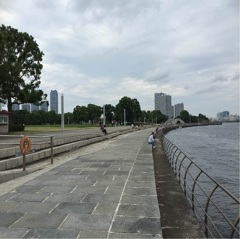IMG_1980