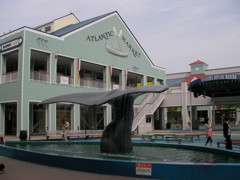 20080522141411