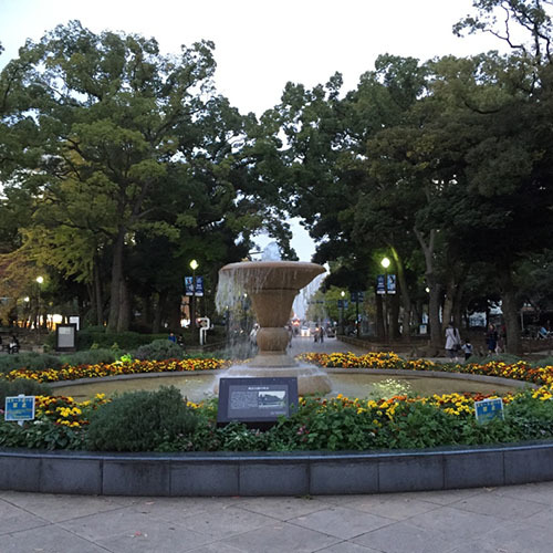 55298d33144fe4b60b65098a7bc6b1c7_l