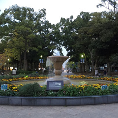55298d33144fe4b60b65098a7bc6b1c7_l