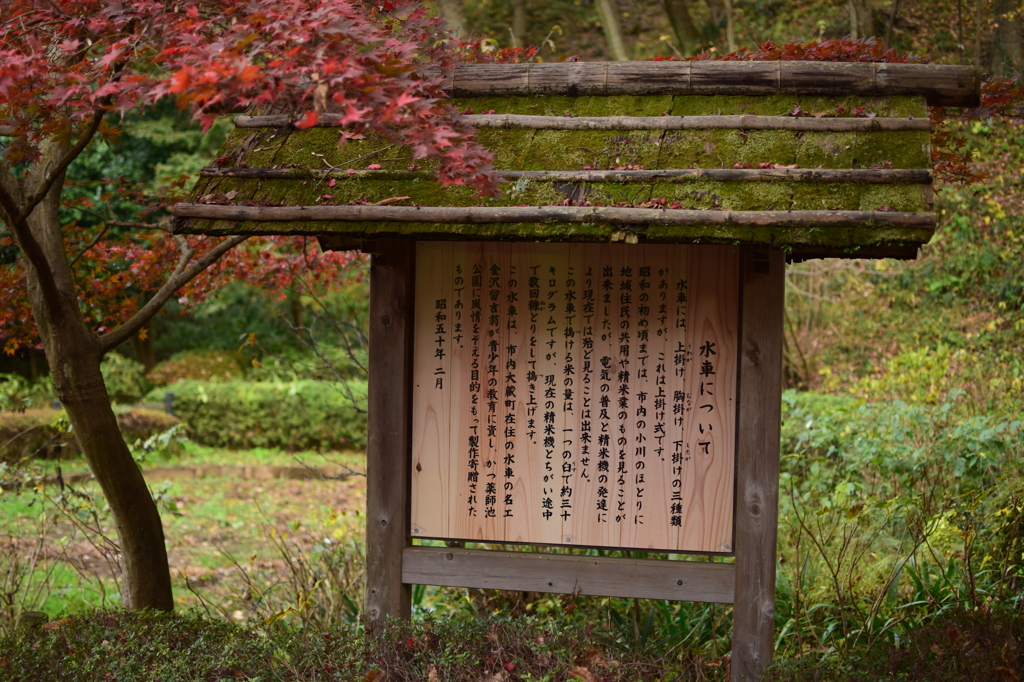 町田　薬師池公園⑤