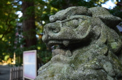 猿田彦神社の狛犬