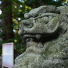 猿田彦神社の狛犬