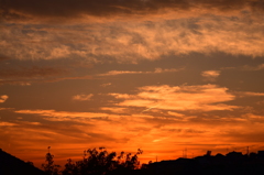 夏の夕日