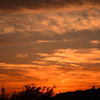 夏の夕日