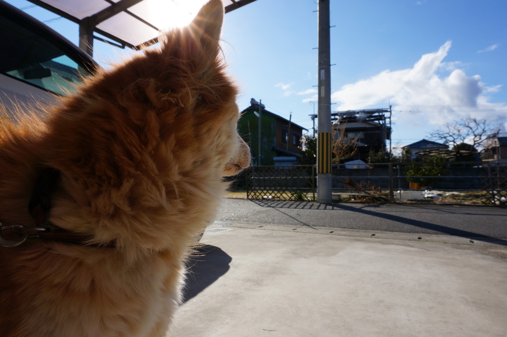 見つめる先は
