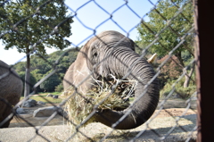 吸いこまれるぅー