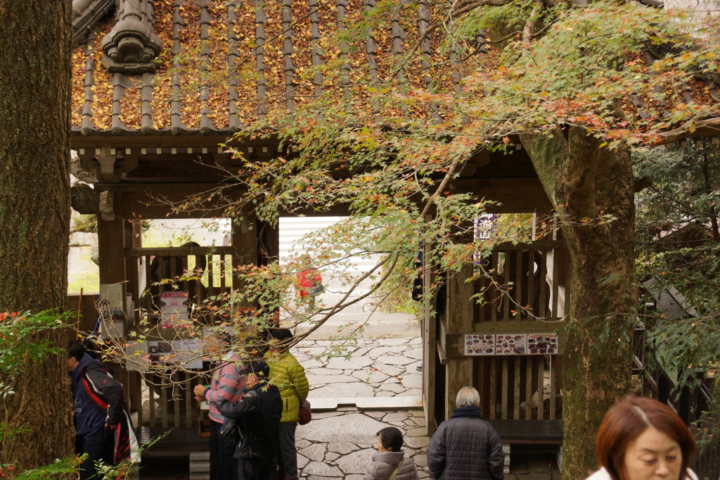 山門の晩秋