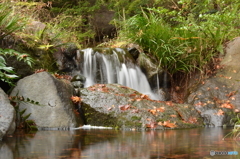 小川
