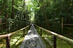 高桐院