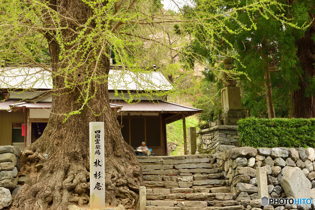 杖杉庵の下で小休止