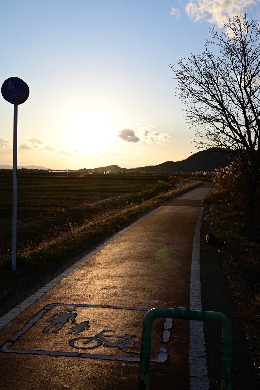 夕暮れの自転車道