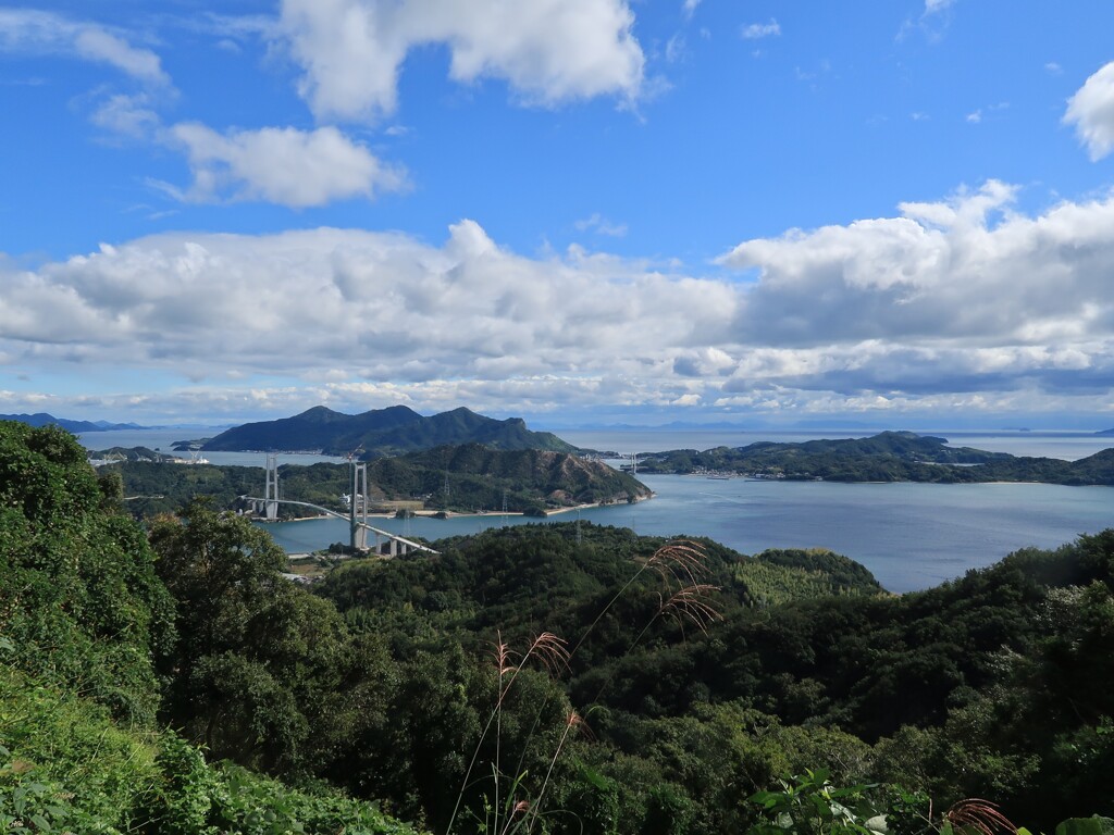 積善山からの景色