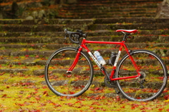 紅葉と赤ロードバイク