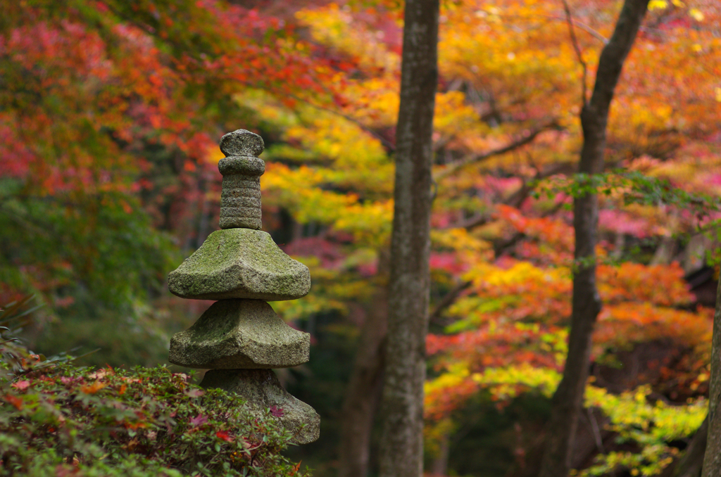 灯篭と紅葉
