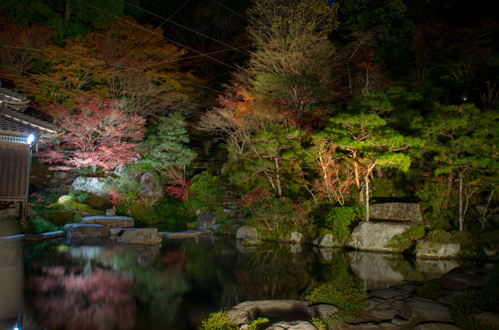 ライトアップ庭園