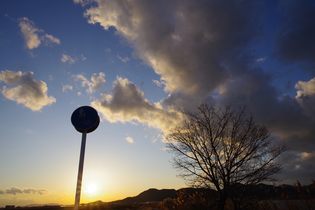 夕暮れの自転車道２
