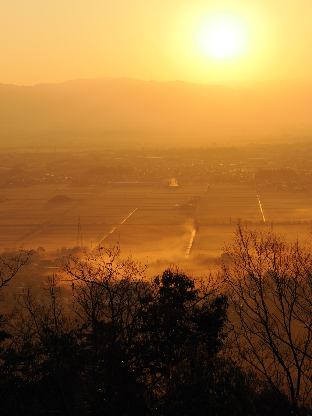 猪子山からの朝日
