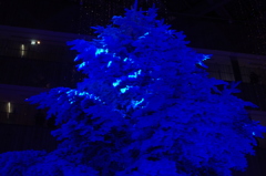 丸の内のクリスマス　1