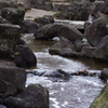 河です　親水公園だし・・・　大横川親水公園