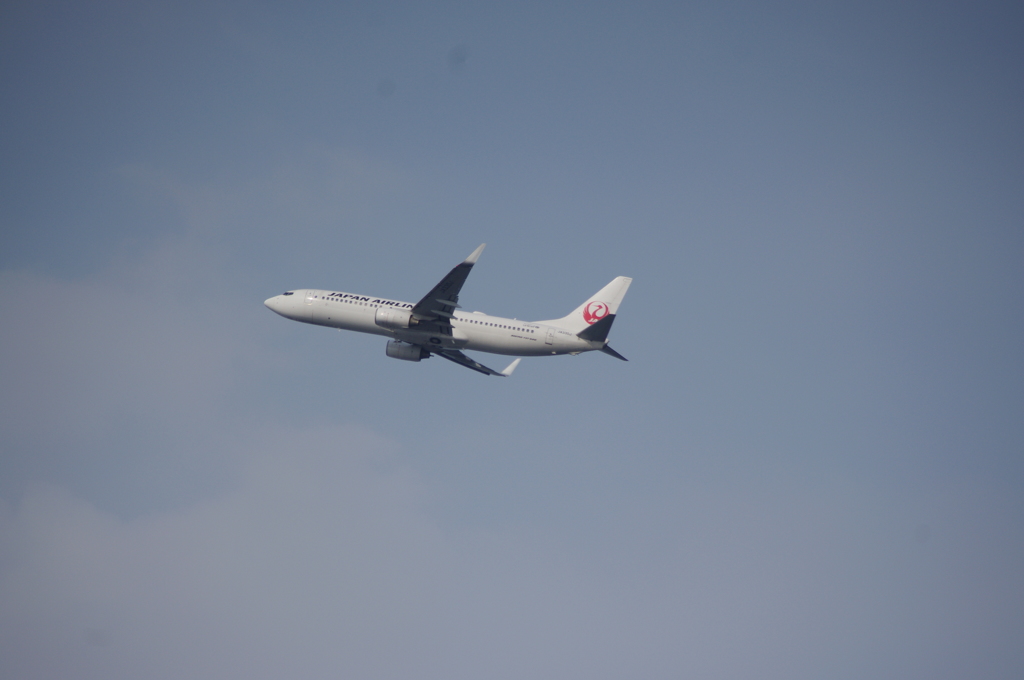 飛行機　3　つばさ公園　８月