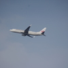 飛行機　3　つばさ公園　８月