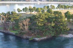 公園　お台場