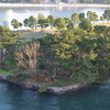 公園　お台場
