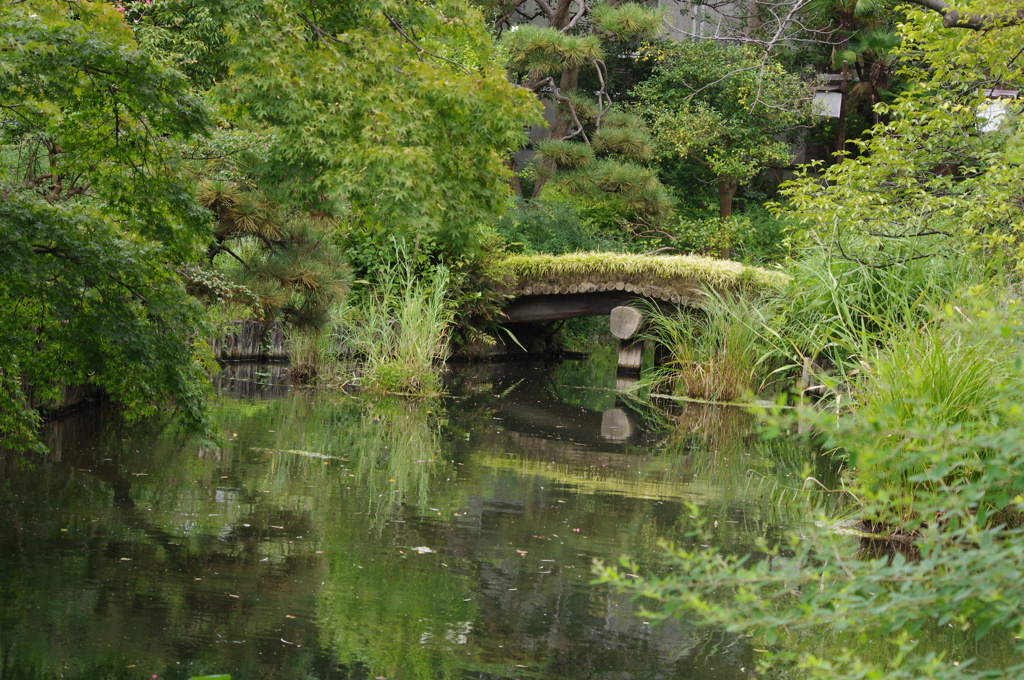 庭園風景　1