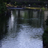 池のある風景