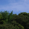 青空と森　戸越公園　9月