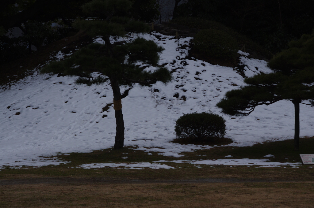 雪山？