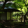 新緑色の庵