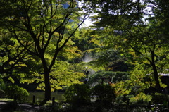 噴水