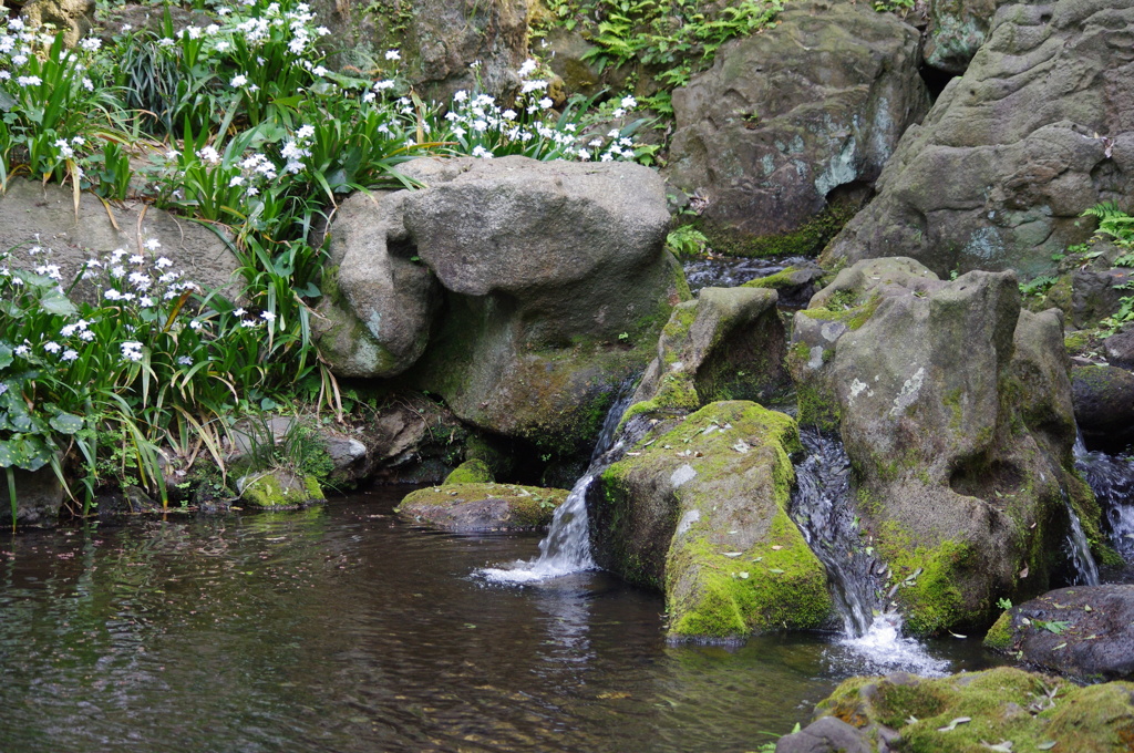 滝　六義園