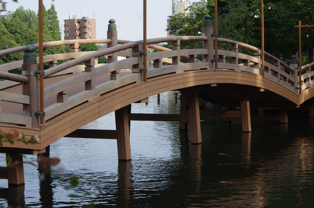 池月橋　洗足池