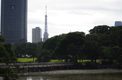 橋のある風景　旧浜離宮庭園　7月中旬