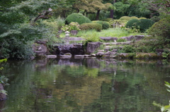 甘泉園　池のある風景　８月