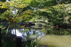 新江戸川公園　橋のある風景　８月