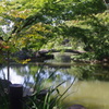 新江戸川公園　橋のある風景　８月