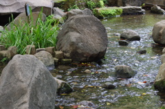 庭園の流れ