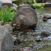 庭園の流れ