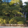 明けましておめでとうございます。 